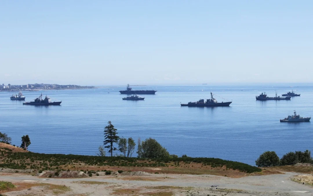 What is fleet management software?