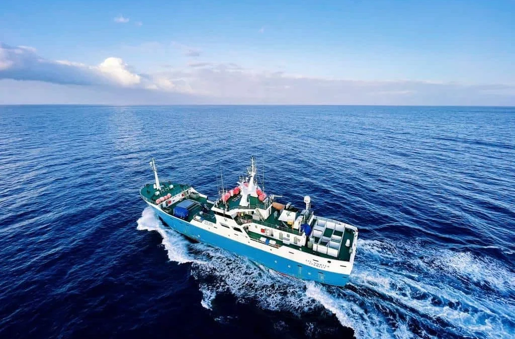 Training for Consolidated Fisheries Ltd